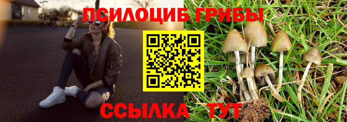 Ейск  Галлюциногенные грибы Psilocybe  Вход с VPN 