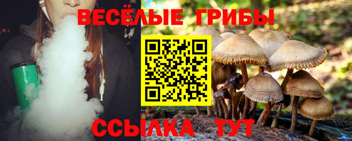 Псилоцибиновые грибы Psilocybine cubensis Ейск